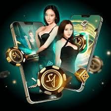 Cricket betting interface featuring Bangladesh national team matches and tournaments